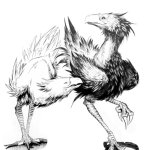 Two Chocobos