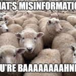 sheeple | THAT'S MISINFORMATION; YOU'RE BAAAAAAAAHNED! | image tagged in sheeple | made w/ Imgflip meme maker