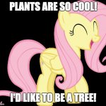 Fluttertree! | PLANTS ARE SO COOL! I'D LIKE TO BE A TREE! | image tagged in happy fluttershy,memes,my little pony,fluttershy,tree,fluttertree | made w/ Imgflip meme maker