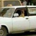 Dog driving car