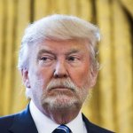 Donald Trump With Beard