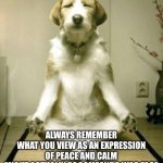 Yoga Dog | ALWAYS REMEMBER
WHAT YOU VIEW AS AN EXPRESSION OF PEACE AND CALM
MIGHT ACTUALLY BE SOMEONE’S WAR FACE | image tagged in yoga dog,war face,memes,peace dog | made w/ Imgflip meme maker