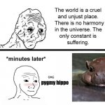 Baby pygmy hippo | pygmy hippo | image tagged in cute,memes,funny memes,funny,animals | made w/ Imgflip meme maker