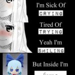 i just felt like making it | fumo | image tagged in im sick of crying bla,fumo,touhou,fumos | made w/ Imgflip meme maker