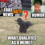 Should imgflip help set the tone on this site? Does anyone care? | RACISM; HATE; FAKE NEWS; HUMOR; WHAT QUALIFIES AS A MEME? | image tagged in squirrel,imgflip,fake news,memes | made w/ Imgflip meme maker