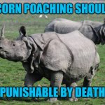 Rhinoceros  | UNICORN POACHING SHOULD BE; PUNISHABLE BY DEATH | image tagged in rhinoceros | made w/ Imgflip meme maker
