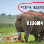 Rhino pissing on a bird | "IT'S RAINING"; RELIGION; YOU; OK, YEAH | image tagged in rhino pissing on a bird | made w/ Imgflip meme maker