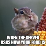 Thanksgiving Squirrel | WHEN THE SERVER ASKS HOW YOUR FOOD IS | image tagged in thanksgiving squirrel | made w/ Imgflip meme maker