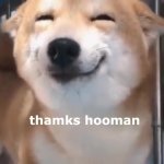 thanks hooman GIF Template