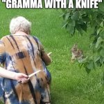 grandma hiding knife rabbit | WELCOME TO "GRAMMA WITH A KNIFE"; DIE DIE VERMIN | image tagged in grandma hiding knife rabbit | made w/ Imgflip meme maker
