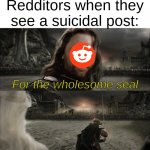 Aragorn Black Gate for Frodo | Redditors when they see a suicidal post:; For the wholesome seal | image tagged in aragorn black gate for frodo,funny,memes,aragorn,reddit,lord of the rings | made w/ Imgflip meme maker