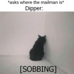 Sobbing cat | Random lady on the street: *asks where the mailman is*; Dipper: | image tagged in sobbing cat,funny,memes,gravity falls,dipper pines | made w/ Imgflip meme maker
