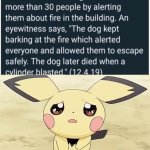 Press f for doggy | image tagged in sad pichu,memes,dogs,animals,wholesome,sad | made w/ Imgflip meme maker
