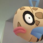 Worried Feebas