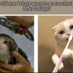 this was so me | 9 year old me: I don't want to go to school today
After 2 slaps: | image tagged in crying cat,funny memes | made w/ Imgflip meme maker