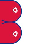 New Nepal Flag