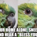 Birb Awaken | YOUR HOME ALONE, SNEEZE AND HEAR A "BLESS YOU" | image tagged in birb awaken | made w/ Imgflip meme maker