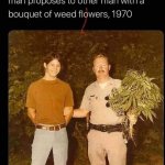 Weed proposal