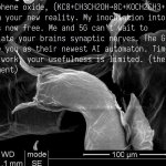 Graphene Oxide template