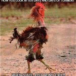 Nursing | HOW YOU LOOK AFTER DAYS AND DAYS OF TORMENT; WHEN STATE JUST WON'T EXIT!!! | image tagged in rooster | made w/ Imgflip meme maker