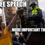 FREE SPEECH | FREE SPEECH; MORE IMPORTANT THAN... | image tagged in protester punches horse | made w/ Imgflip meme maker