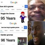 i didnt love get GNOMED | how old is gnome; Noggin the Gnome; 95 Years; how how long do garden gnome; Garden gnomes; 96 Years | image tagged in noggin gnome,gnome,google | made w/ Imgflip meme maker