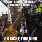 Moron punches horse | WHAT KIND OF DICKHEAD
PUNCHES A HORSE? OH RIGHT, THIS KIND. | image tagged in moron punches horse | made w/ Imgflip meme maker