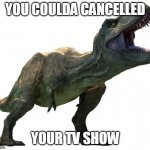 t roof | YOU COULDA CANCELLED; YOUR TV SHOW | image tagged in t roof | made w/ Imgflip meme maker
