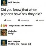 Pigeon sex