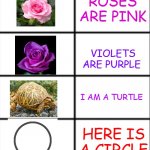 Roses are Red | ROSES ARE PINK VIOLETS ARE PURPLE I AM A TURTLE HERE IS A CIRCLE | image tagged in roses are red | made w/ Imgflip meme maker