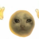 Cursed crying cat emoji meme