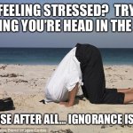 Head in trhe sand with stupidity | FEELING STRESSED?  TRY BURYING YOU’RE HEAD IN THE SAND; BECAUSE AFTER ALL... IGNORANCE IS BLISS | image tagged in head in trhe sand with stupidity | made w/ Imgflip meme maker