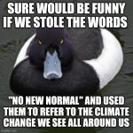 Angry mallard | SURE WOULD BE FUNNY IF WE STOLE THE WORDS; "NO NEW NORMAL" AND USED THEM TO REFER TO THE CLIMATE CHANGE WE SEE ALL AROUND US | image tagged in angry mallard | made w/ Imgflip meme maker