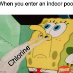 Im back from a break from imgflip | When you enter an indoor pool; Chlorine | image tagged in spongebob sniffing,pool | made w/ Imgflip meme maker