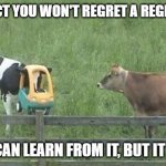 No regrets cow | I PREDICT YOU WON'T REGRET A REGRESSION; IF YOU CAN LEARN FROM IT, BUT IT VARIES. | image tagged in no regrets cow | made w/ Imgflip meme maker