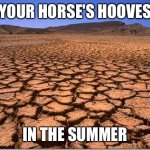 Dry hooves farrier meme | YOUR HORSE'S HOOVES; IN THE SUMMER | image tagged in parched earth | made w/ Imgflip meme maker