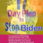 The 17 day plan to stop Biden meme