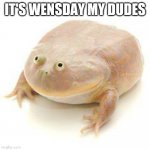 Wednesday Frog Blank | IT'S WENSDAY MY DUDES | image tagged in wednesday frog blank | made w/ Imgflip meme maker