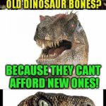 Old dinosaur bones meme