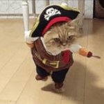 Cat Pirate template
