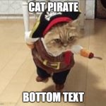 Cat Pirate | CAT PIRATE; BOTTOM TEXT | image tagged in cat pirate | made w/ Imgflip meme maker