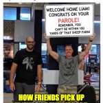 Friends! | WELCOME HOME LIAM! 
CONGRATS ON YOUR; PAROLE! REMEMBER, YOU CAN'T BE WITHIN 100 YARDS OF THAT SHEEP FARM! HOW FRIENDS PICK UP FRIENDS AT THE AIRPORT. | image tagged in welcome home | made w/ Imgflip meme maker