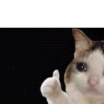 Crying cat thumbs up meme