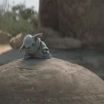 Baby Yoda Falls Asleep GIF Template
