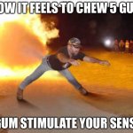 How it feels to chew 5 gum | HOW IT FEELS TO CHEW 5 GUM; 5 GUM STIMULATE YOUR SENSES | image tagged in how it feels to chew 5 gum | made w/ Imgflip meme maker