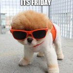 Time To Party! | IM SO GLAD ITS FRIDAY; NOW WE CAN HAVE FUN! | image tagged in cute puppies | made w/ Imgflip meme maker