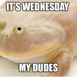 It’s Wednesday | IT’S WEDNESDAY MY DUDES | image tagged in it's wednesday my dudes,wednesday | made w/ Imgflip meme maker