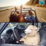 Visit California Ad vs Living There meme
