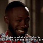 I didn't know what a succulent is GIF Template