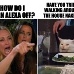 Alexa | HAVE YOU TRIED WALKING AROUND THE HOUSE NAKED? HOW DO I TURN ALEXA OFF? | image tagged in girls vs cat | made w/ Imgflip meme maker